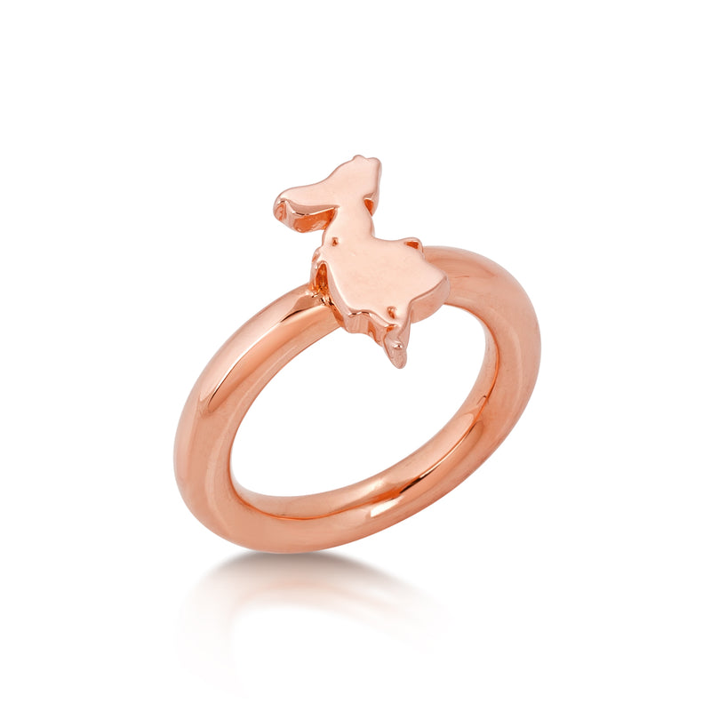 Alice in on sale wonderland ring